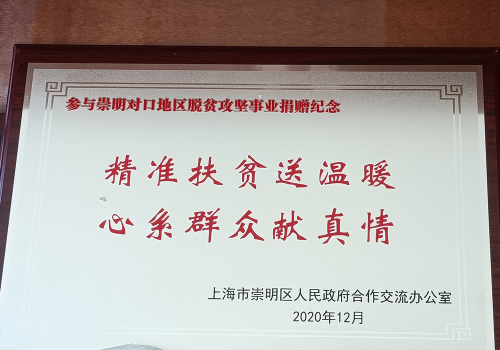 纪念精准扶贫